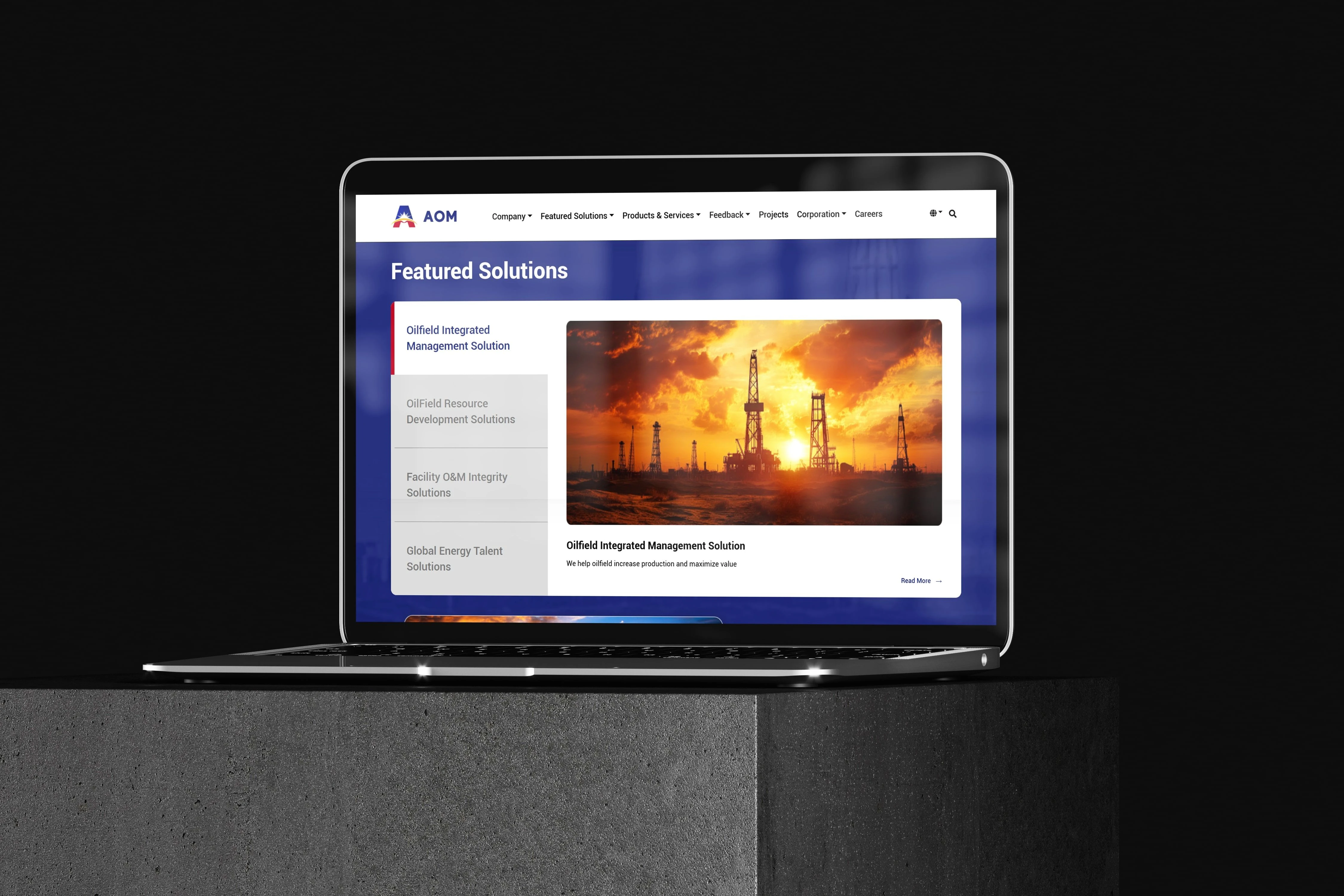 Anton Oil website mockup – inner page or alternate screen view, variant B